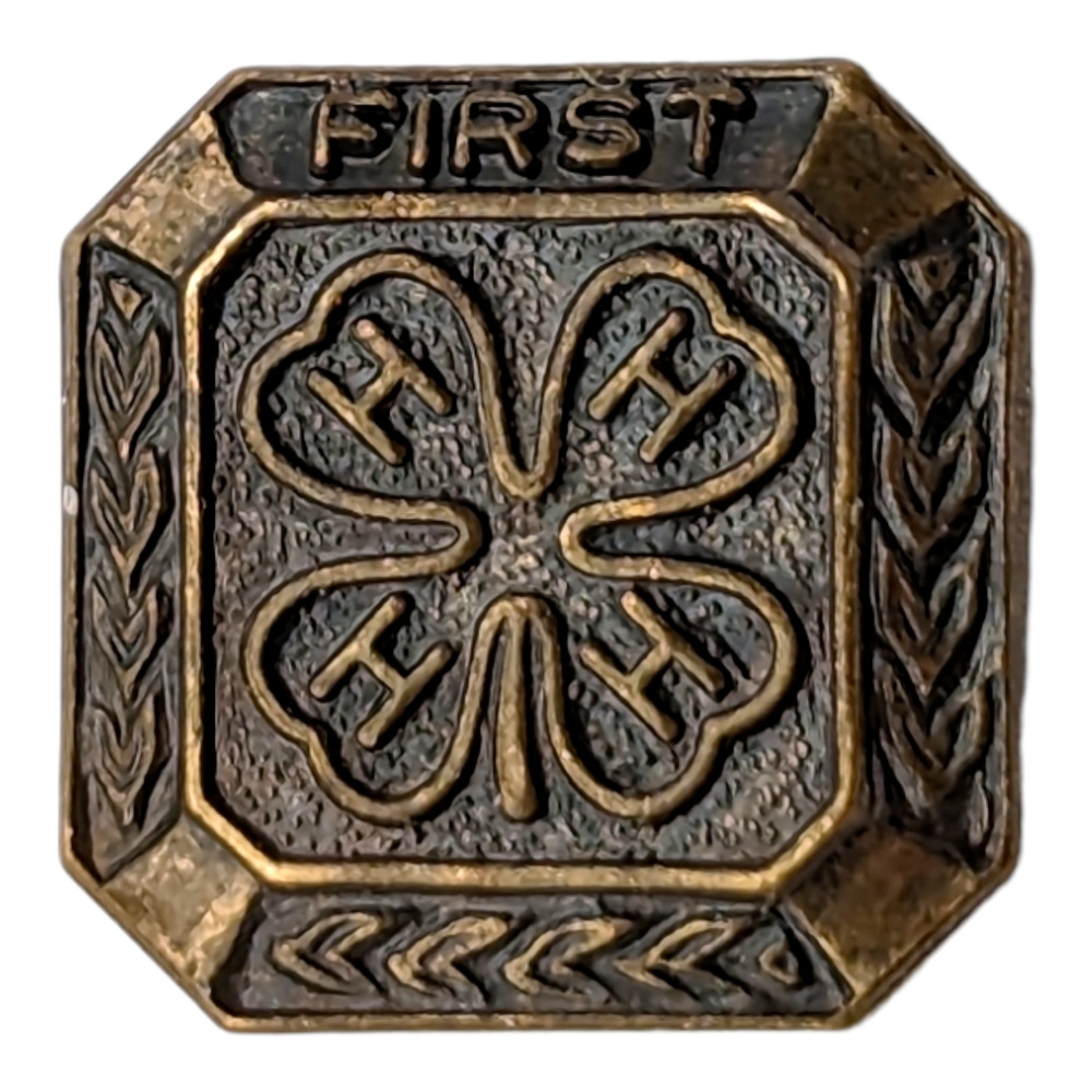 Vintage 4H Club First Year Hat Lapel Pin Award